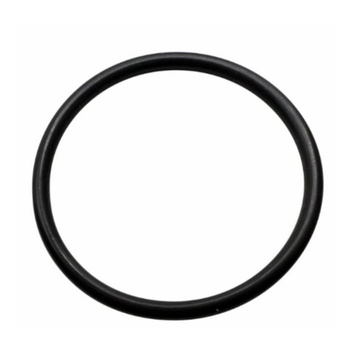GASKET O RING R11 D19 EP 851